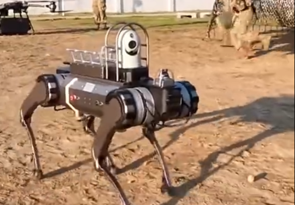 優寶特機器狗協同作戰單元開展軍事作戰演練，威武！